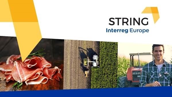 Bericht Eindconferentie Interreg STRING bekijken